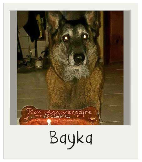 Bayka avec notre grand Gateau d'anniversaire pour chiens